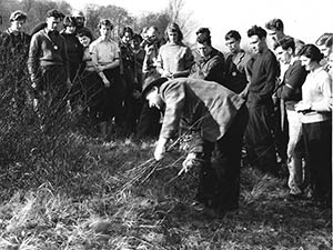 Volunteers learning to clear dogwood on Box Hill