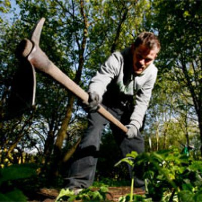 Man removing Himalayan Balsam