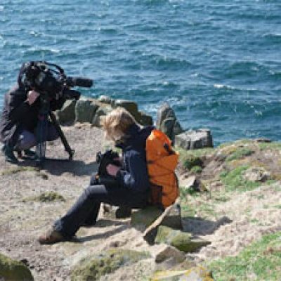 Filming seabirds