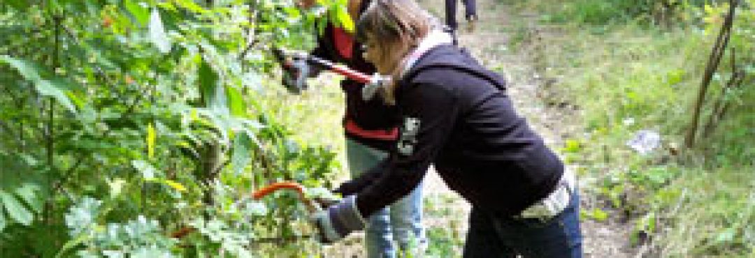 Volunteers working