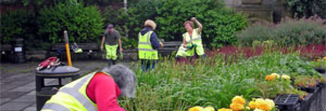 Volunteers looking after a local green space