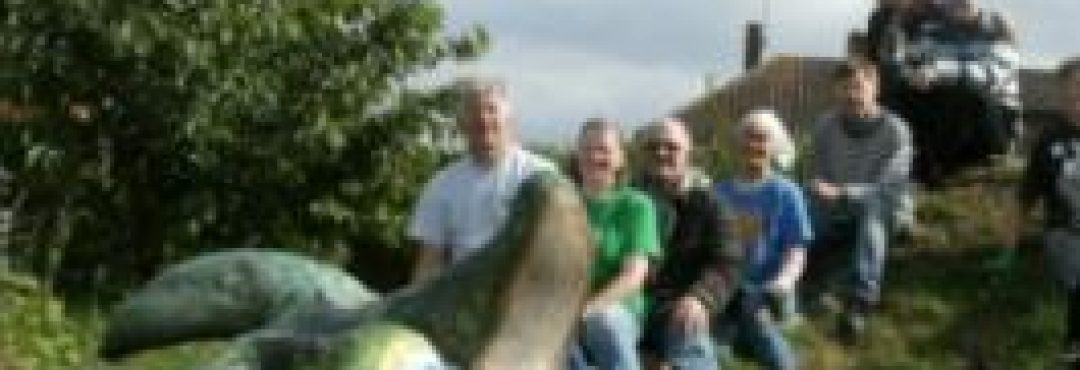 Milton Keynes Green Gym and Wolverton Community Orchard Group volunteers on top of the ‘dragon mountain’