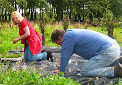 Two people weeding