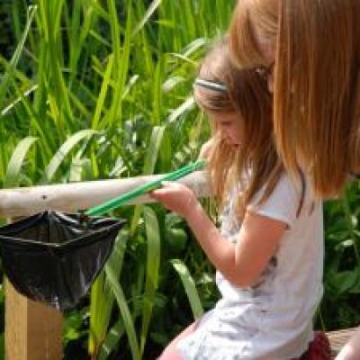 Pond dipping