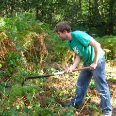 Norwich Volunteer