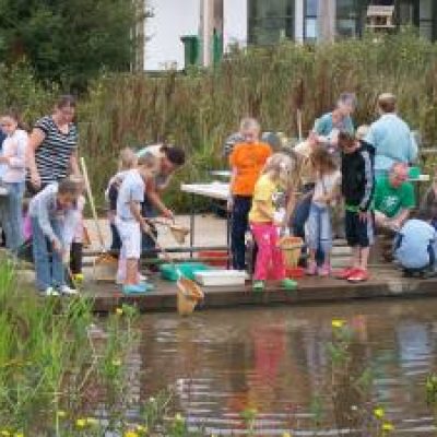 Pond dipping