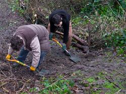 Community Green Gym volunteers