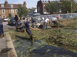 Pond clearing in Richmond