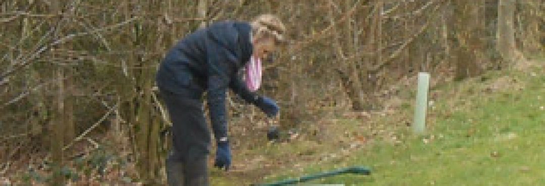 Volunteer working with trees