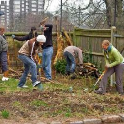 Camden Green Gym