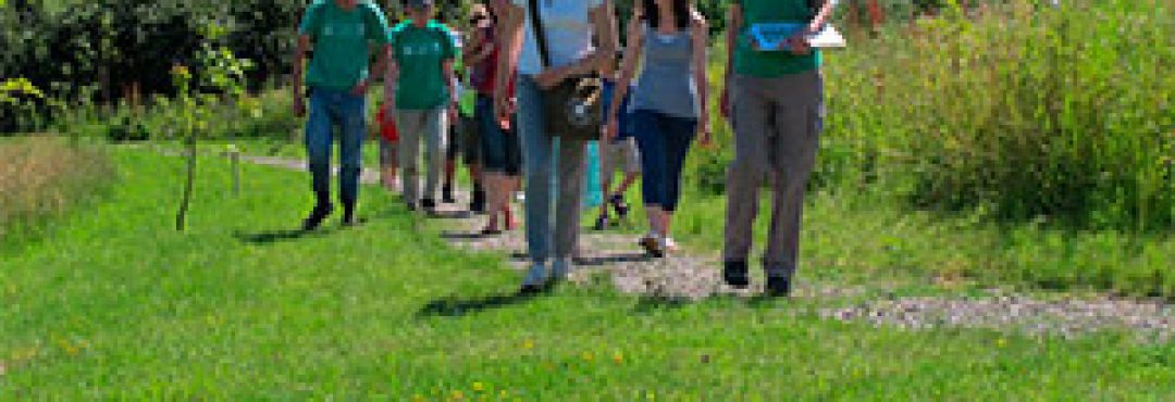 People walking in open green space