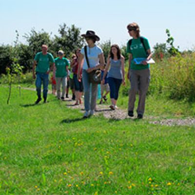 People walking in open green space