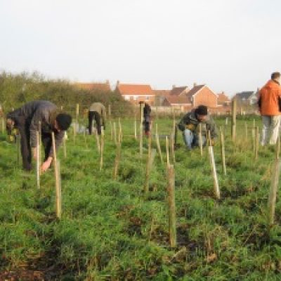 Tree Planting in Norfolk