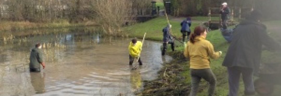 Pond clearance