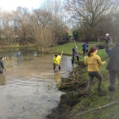 Pond clearance