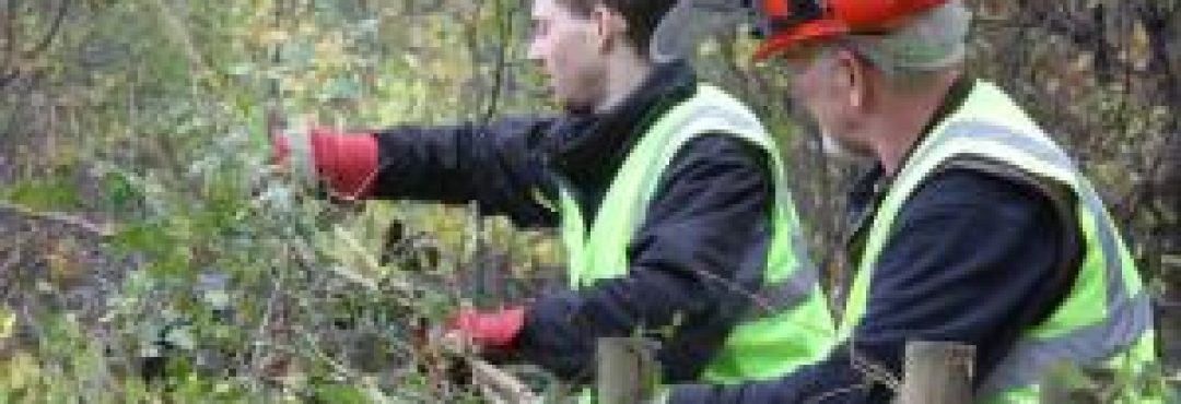 Hedgerow Management