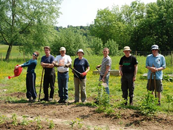 Volunteers in the TCV Essex Community Tree Nursery