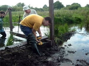 Volunteers building a pond-dipping platform
