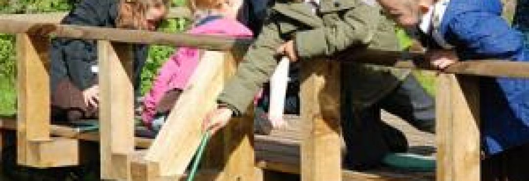 Pond dipping