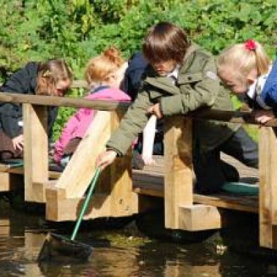 Pond dipping
