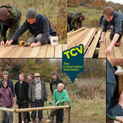 Volunteers in action