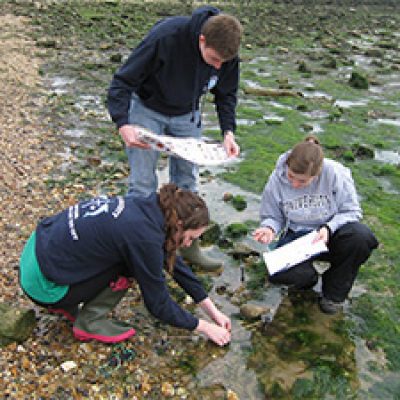Young people surveying the coastline