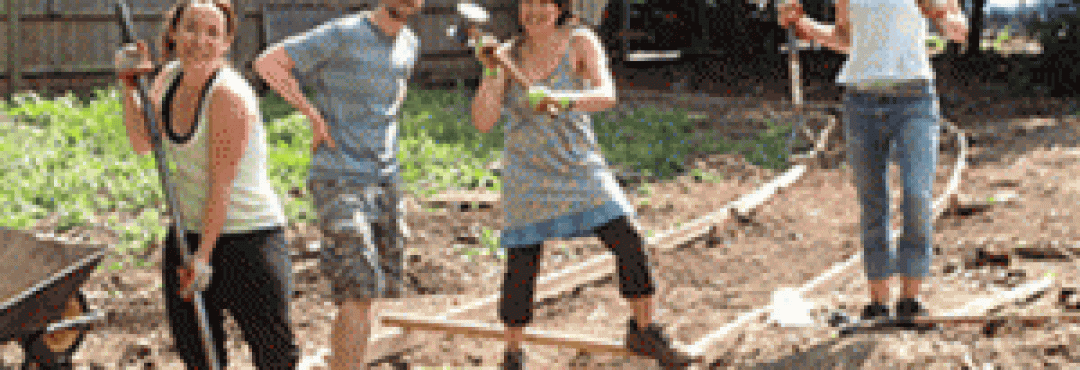 Volunteers preparing a site at Benhill Road, Lambeth