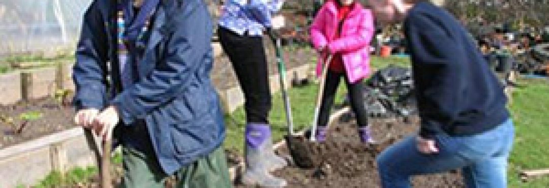 Aviva - A garden for everyone