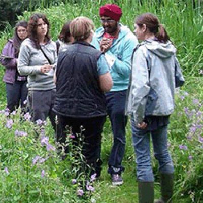 Volunteers in a meadow