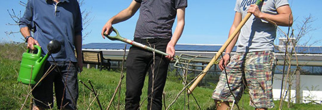 People gardening