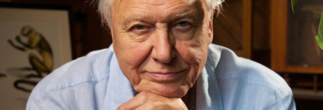 TCV Vice President, Sir David Attenborough CBE