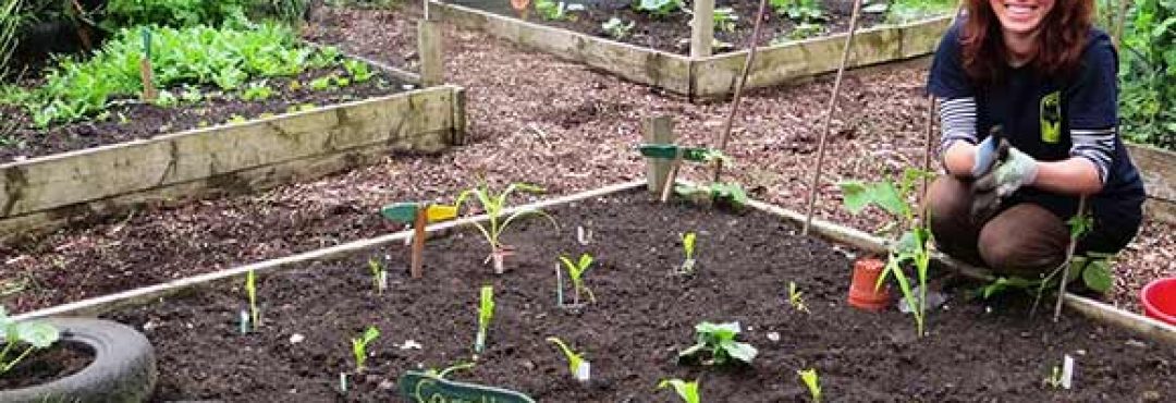 A woman in a vegetable garden