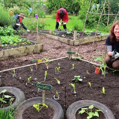 A woman in a vegetable garden