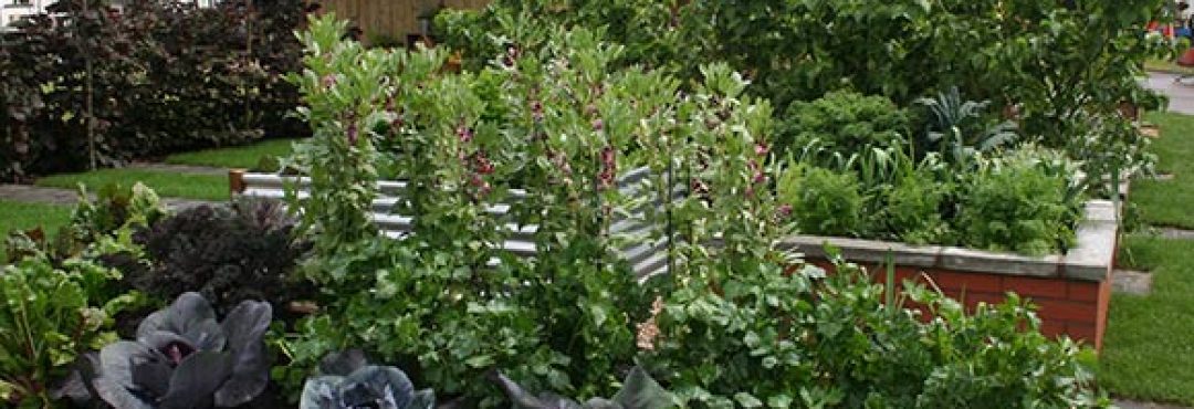 TCV's winning show garden at BBC Gardeners’ World Live 2016
