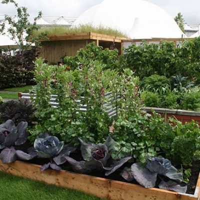 TCV's winning show garden at BBC Gardeners’ World Live 2016