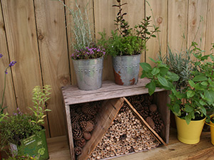 A detail from the winning garden at BBC Gardeners' World Live 2016