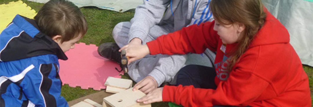 Children making bird boxes