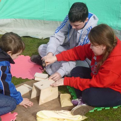 Children making bird boxes