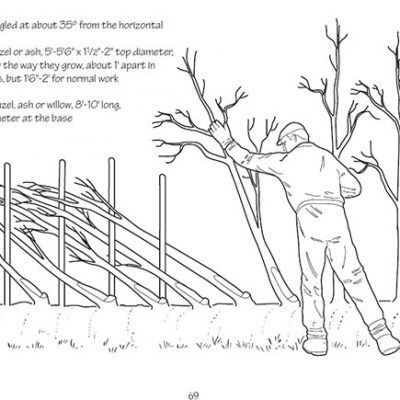 An image taken from TCV's Hedging handbook