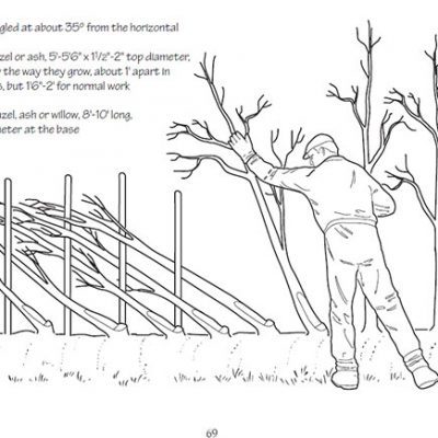 An image taken from TCV's Hedging handbook
