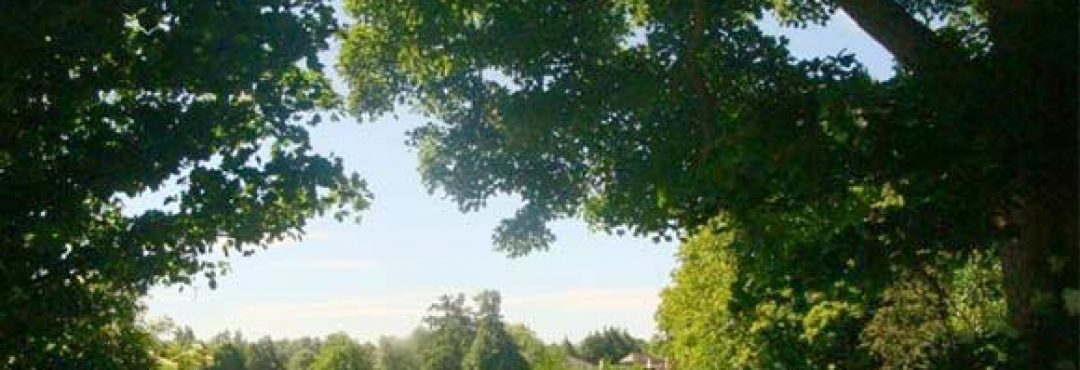 A view of the Countess of Chester Country Park