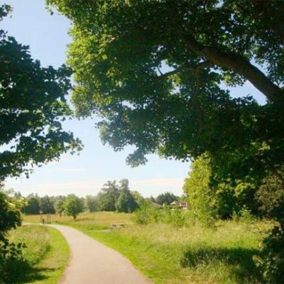 A view of the Countess of Chester Country Park