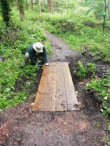 Repairing paths in Lousehill Copse