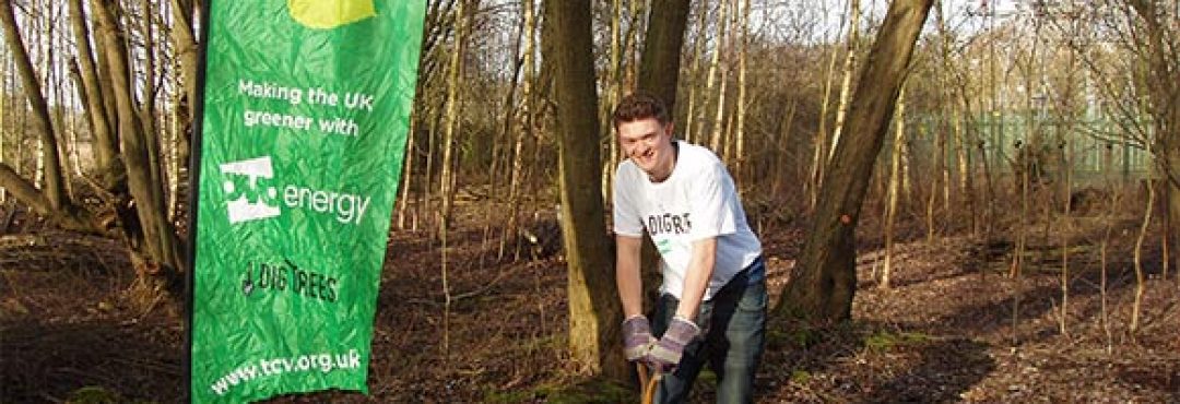 Man planting a tree