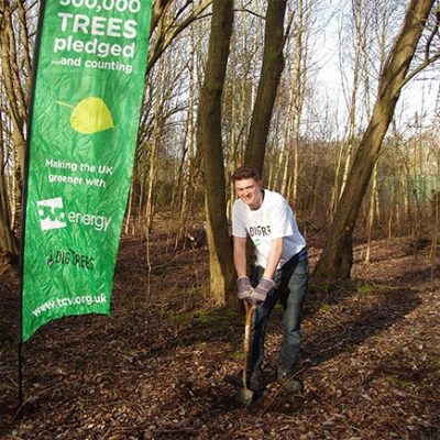 Man planting a tree