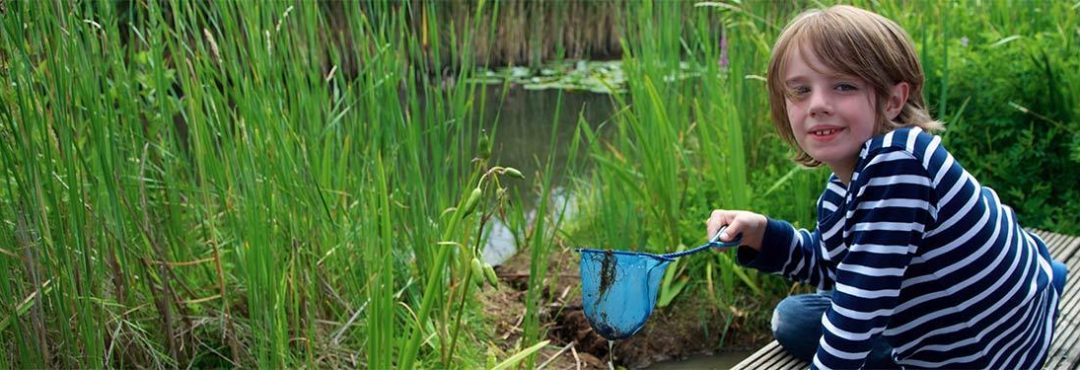 A young person pond dipping