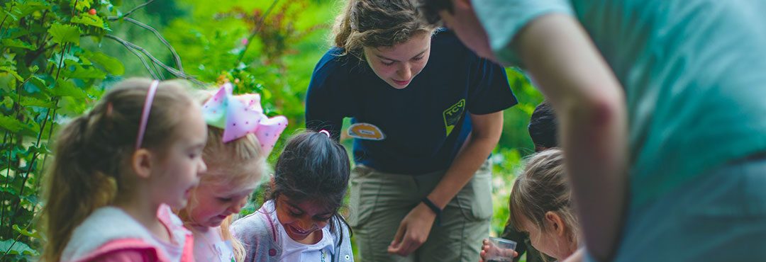 Children pond-dipping