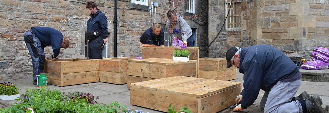 People making raised beds in Scotland