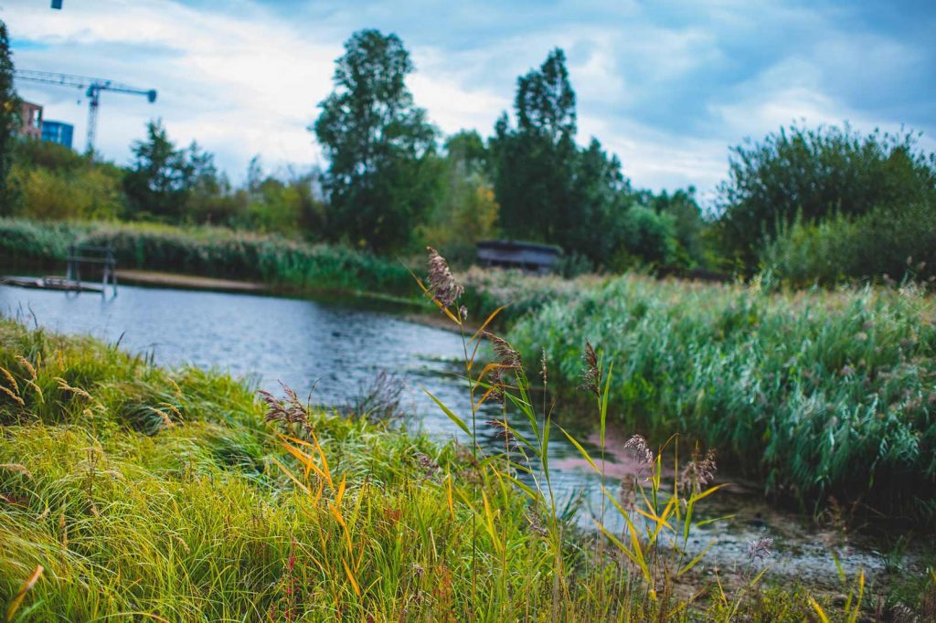 Greewich Peninsula Ecology Park