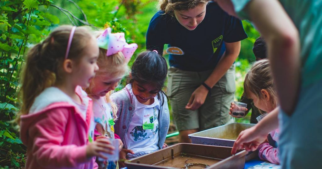 Children enjoying pond-dipping